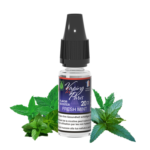 Booster Flavor Fresh Mint 10ml/20mg