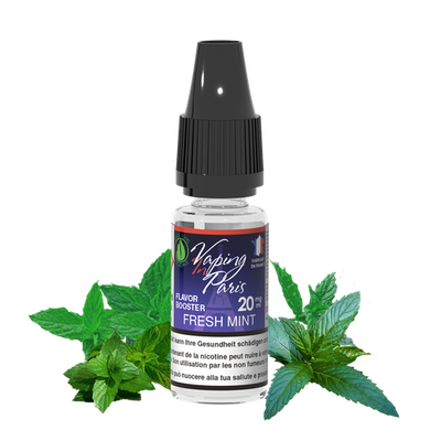 Booster Flavor Fresh Mint 10ml/20mg