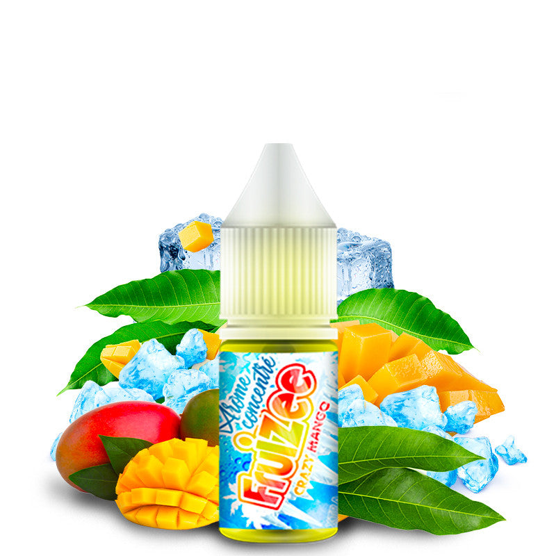 DIY: VERRÜCKTE MANGO - FRUIZEE